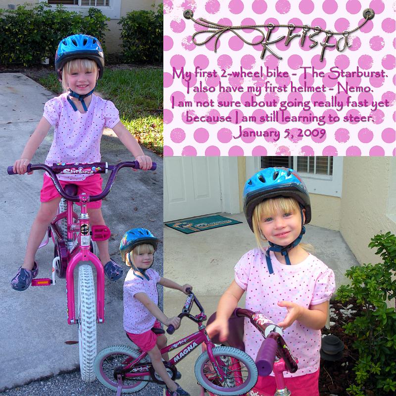 Bike 2009.jpg